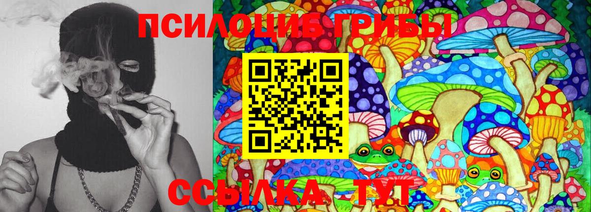 Пушкино  Псилоцибиновые грибы Cubensis  Вход с VPN 
